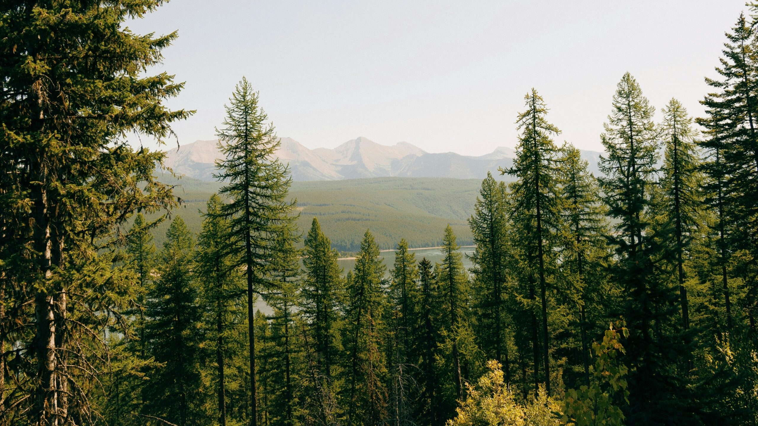 hans-isaacson-RWF0zLjKyYs-unsplash