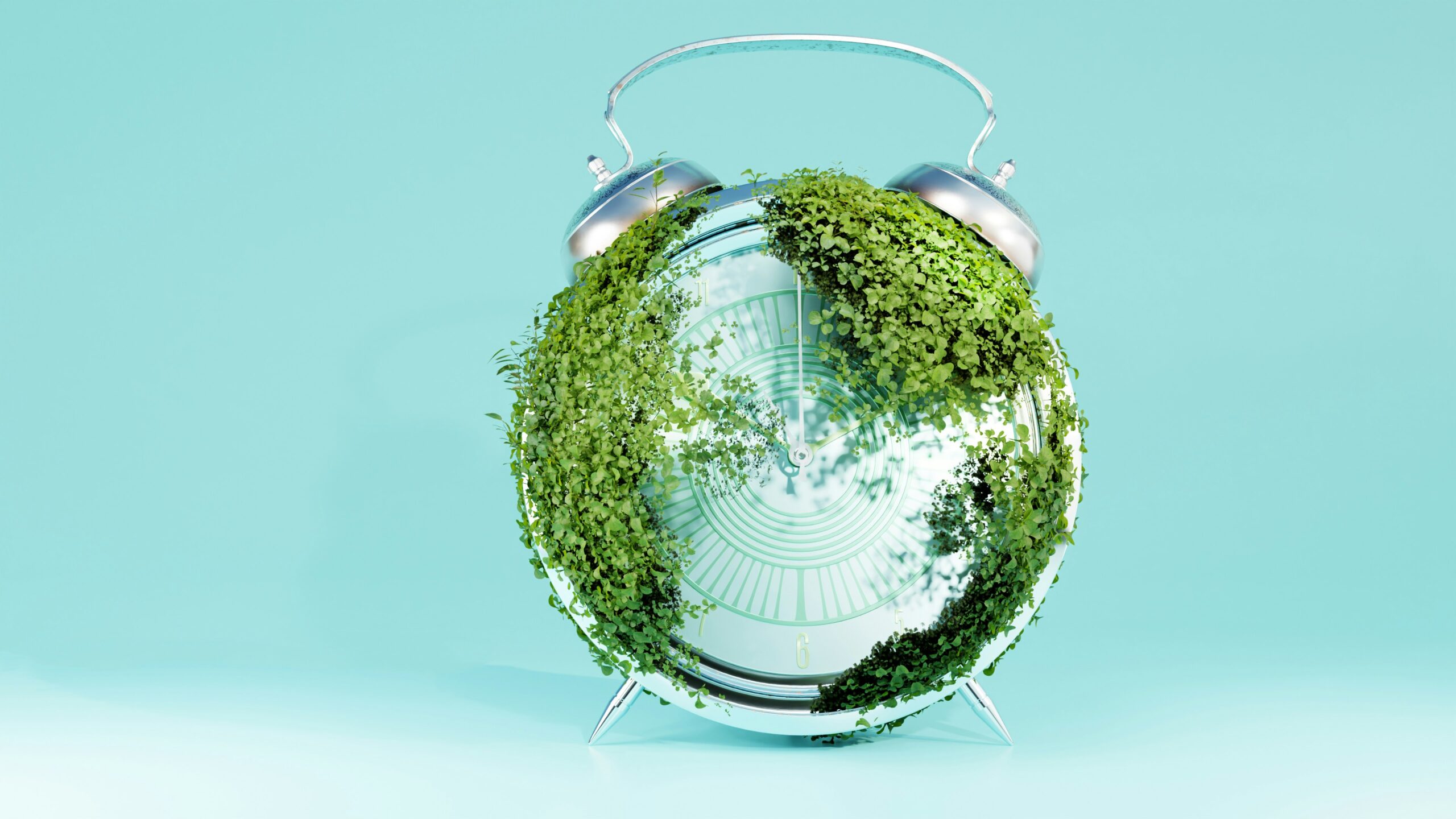 galina-nelyubova-vSbRPjovm4E-unsplash