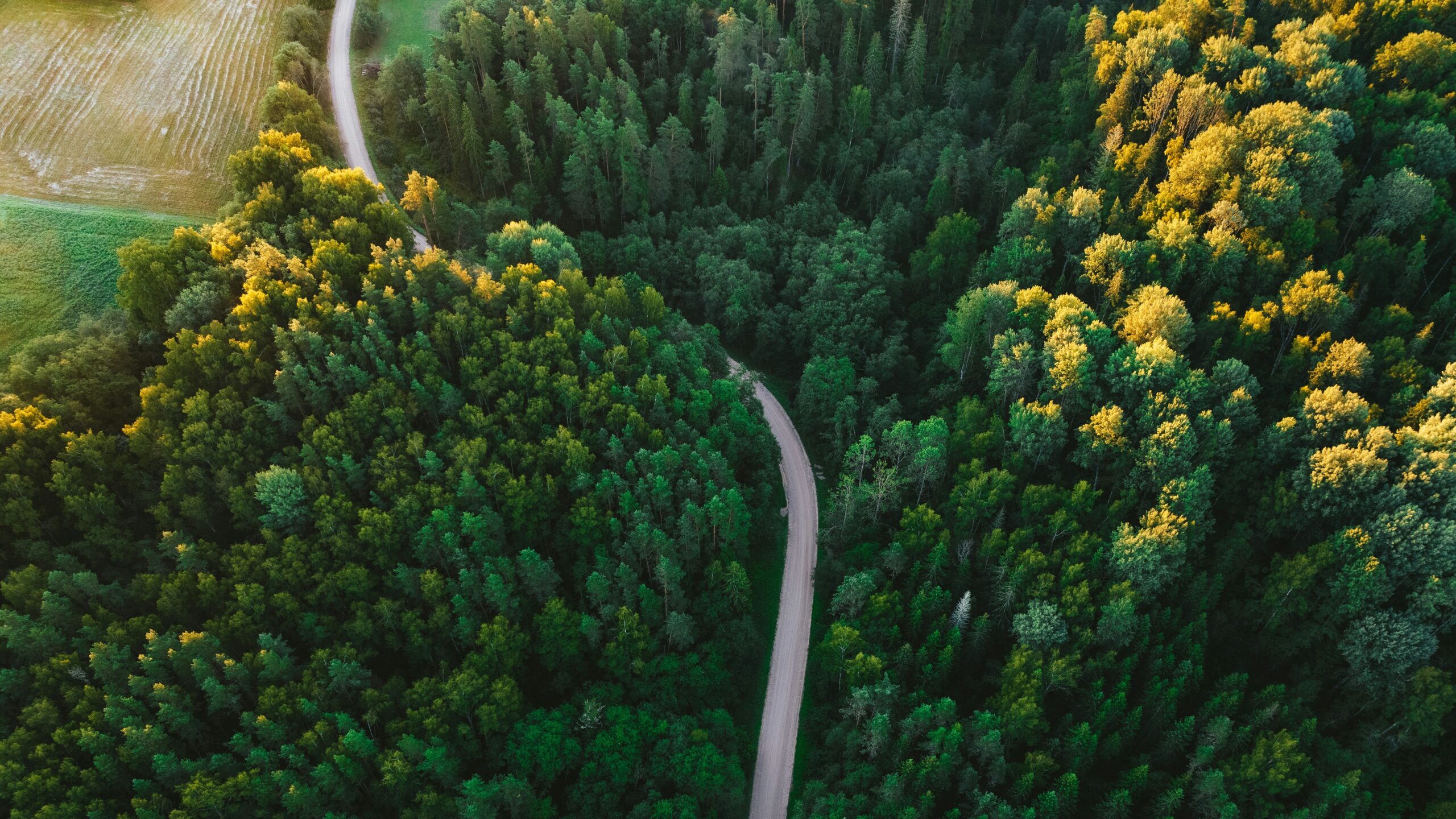 unsplash-community-oYqix81A4bg-unsplash