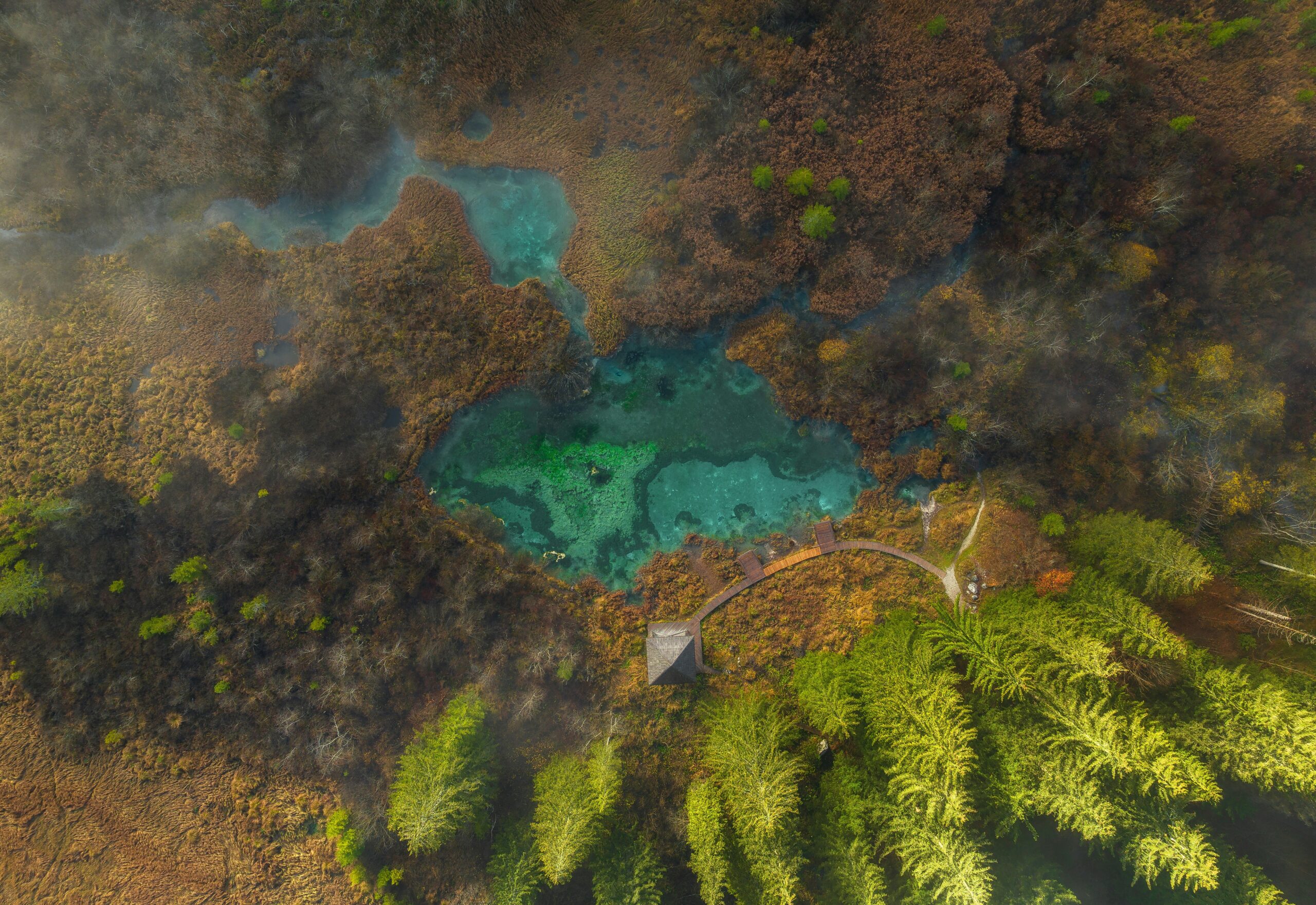 ales-krivec-ML9i2RqN9hg-unsplash